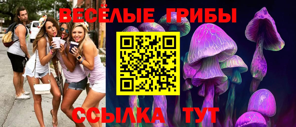 Южно-Сахалинск  Галлюциногенные грибы MAGIC MUSHROOMS  Вход с VPN 