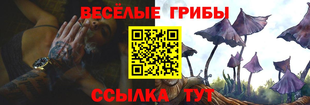 Псилоцибиновые грибы Psilocybine cubensis Южно-Сахалинск